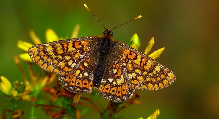 EB_Santa_Combinha_1_1024_2500